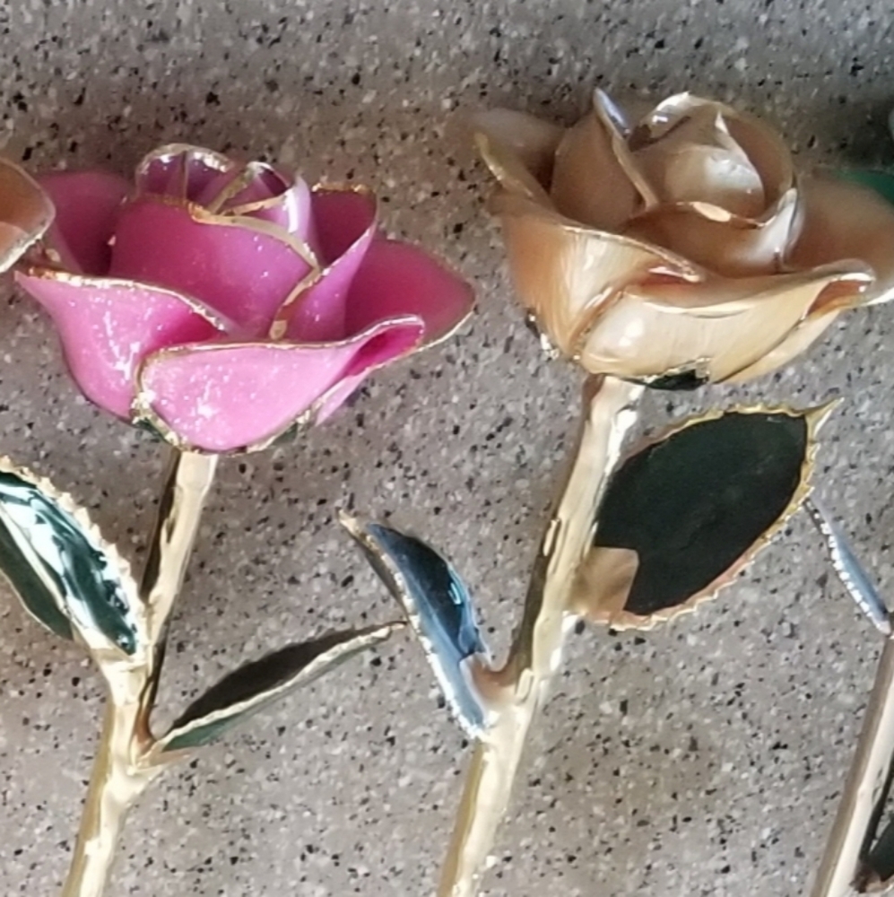 Rose for @bethlynnj22